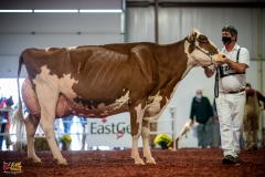 DSC01569-2 DSC01569-2