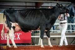 DSC01575-2 DSC01575-2