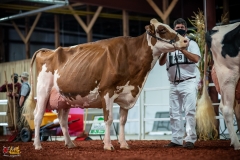 DSC01578-2 DSC01578-2