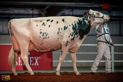 DSC01584-2 DSC01584-2