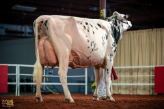 DSC01588-2 DSC01588-2