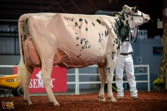 DSC01590-2 DSC01590-2