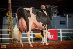 DSC01592-2 DSC01592-2