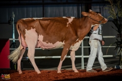 DSC01380-2 DSC01380-2