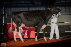 DSC01395-2 DSC01395-2