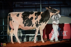 DSC01398-2 DSC01398-2