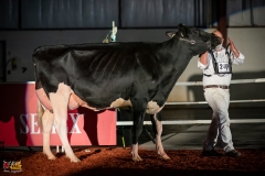 DSC01400-2 DSC01400-2