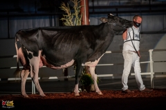 DSC01412-2 DSC01412-2