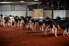 DSC01418-2 DSC01418-2