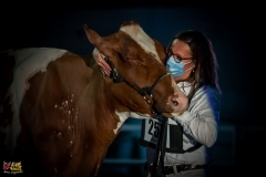 DSC01472-2 DSC01472-2