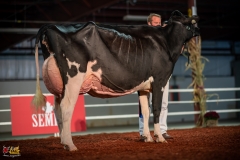 DSC01473-2 DSC01473-2