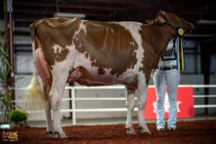 DSC01478-2 DSC01478-2