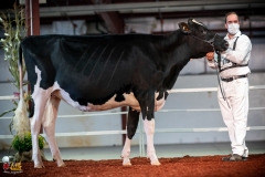 DSC00738-2 DSC00738-2