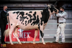 DSC00740-2 DSC00740-2