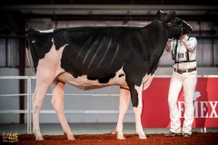 DSC00742-2 DSC00742-2