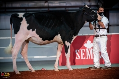 DSC00750-2 DSC00750-2