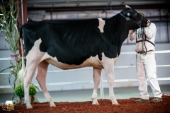 DSC00754-2 DSC00754-2