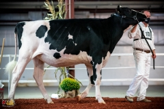 DSC00761-2 DSC00761-2