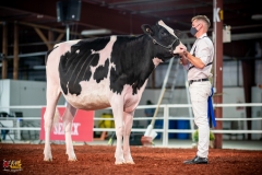 DSC00784-2 DSC00784-2