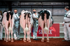 DSC00799-2 DSC00799-2