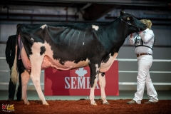 DSC01225-2 DSC01225-2