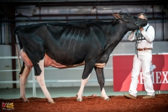 DSC01234-2 DSC01234-2