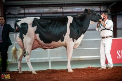 DSC01238-2 DSC01238-2