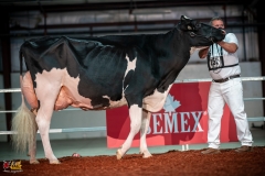 DSC01242-2 DSC01242-2