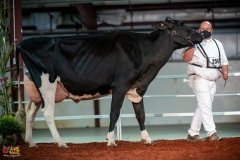 DSC01271-2 DSC01271-2