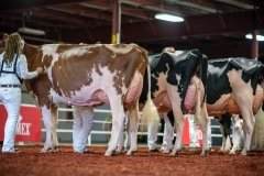 DSC01277-2 DSC01277-2