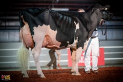 DSC01288-2 DSC01288-2