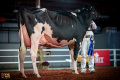 DSC01294-2 DSC01294-2