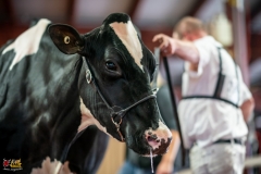 DSC01607-2 DSC01607-2