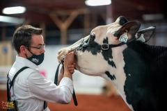 DSC01609-2 DSC01609-2