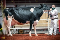 DSC01615-2 DSC01615-2