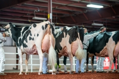 DSC01619-2 DSC01619-2