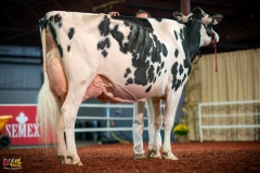 DSC01623-2 DSC01623-2