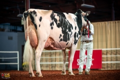 DSC01625-2 DSC01625-2