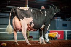 DSC01629-2 DSC01629-2