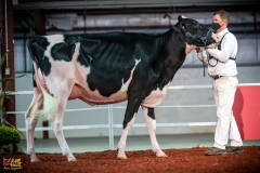 DSC00953-2 DSC00953-2