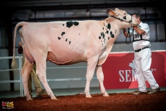 DSC00958-2 DSC00958-2