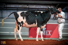 DSC00959-2 DSC00959-2