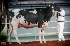 DSC00971-2 DSC00971-2