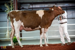 DSC00973-2 DSC00973-2