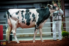 DSC00974-2 DSC00974-2