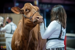 DSC00975-2 DSC00975-2