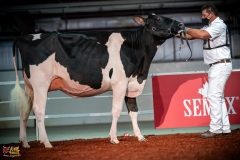 DSC00983-2 DSC00983-2