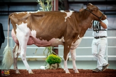 DSC00985-2 DSC00985-2