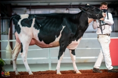 DSC00988-2 DSC00988-2