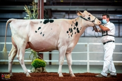 DSC00993-2 DSC00993-2